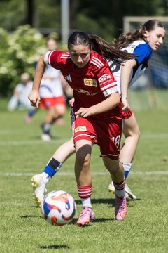 Bild 218 - wBJ HSV Leistungsvergleich